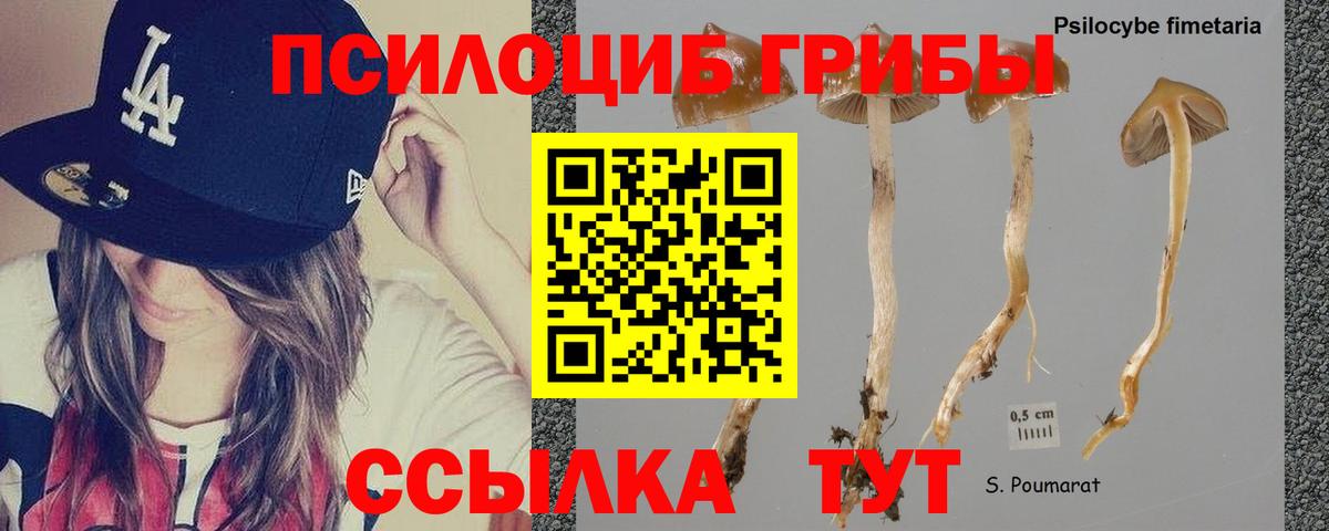 Псилоцибиновые грибы Magic Shrooms Дивногорск